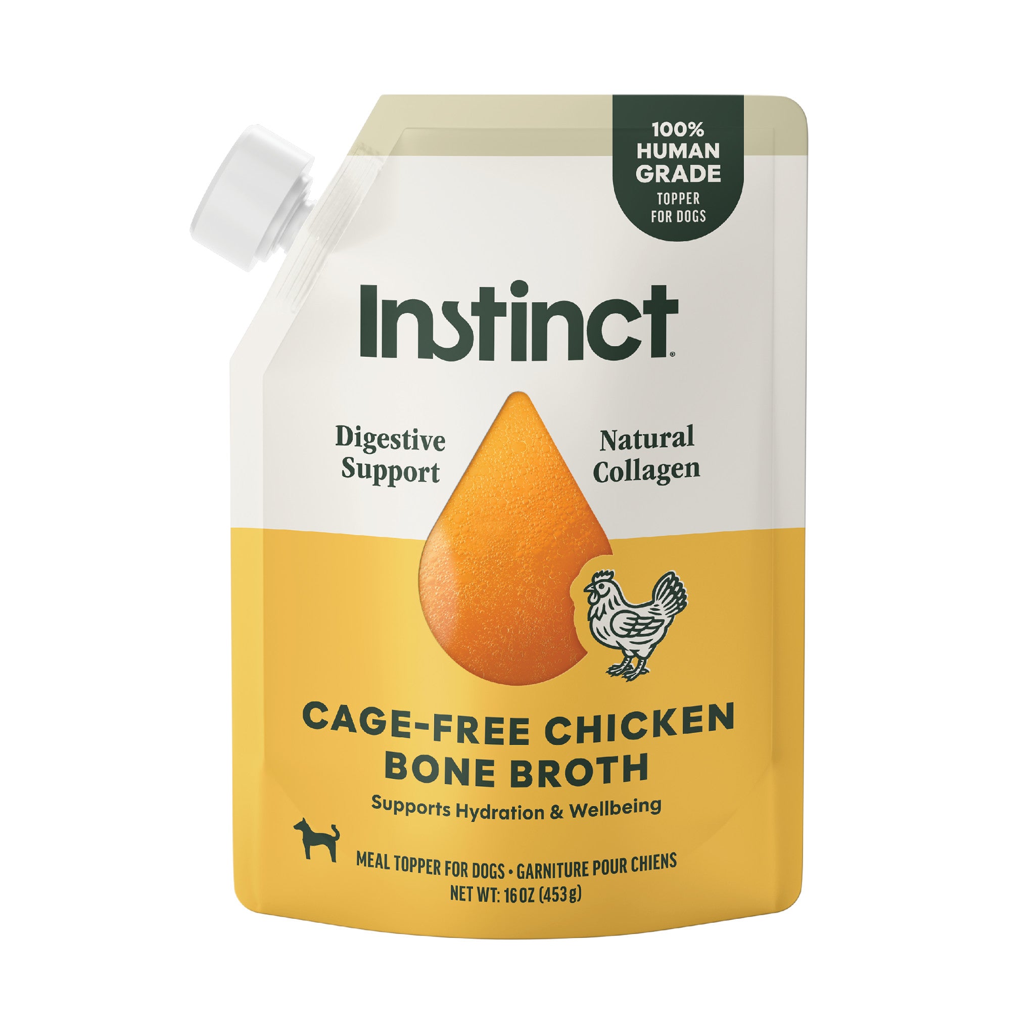chicken stock bone broth for sick dog