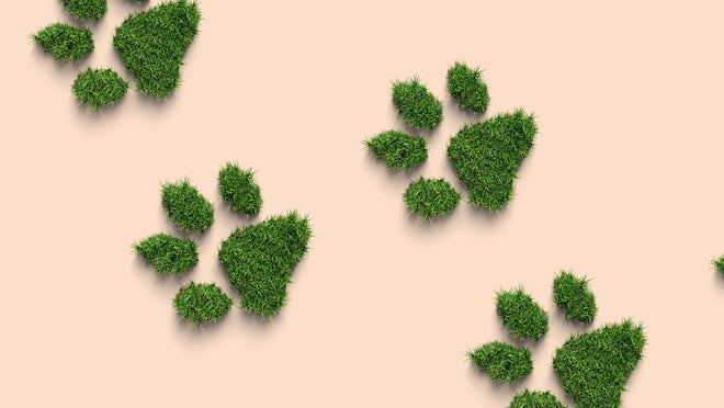 Sustainability at Instinct