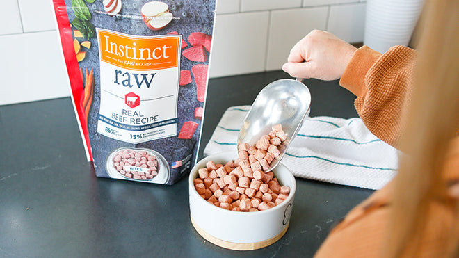 The 8 Best Affordable Raw Dog Foods in 2022