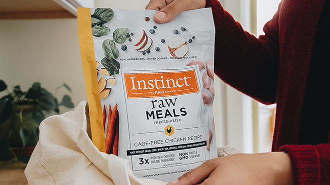 11 of the Very Best Cat Foods
