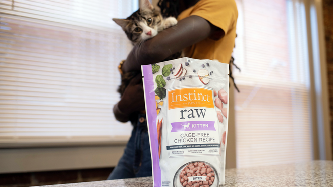 Rethinking Your Pet’s Plate: The Benefits of a Raw Food Diet