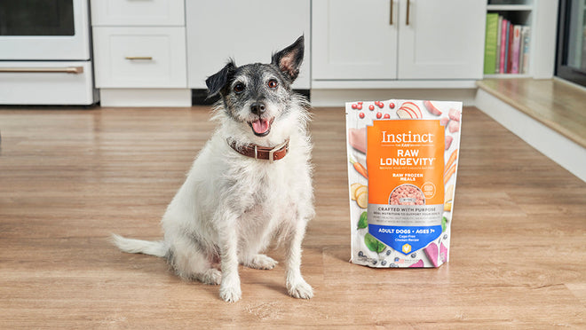 a senior dog with a bag of Instinct Pet Food