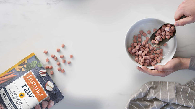 3 Key Differences Between Raw Pet Food and Kibble