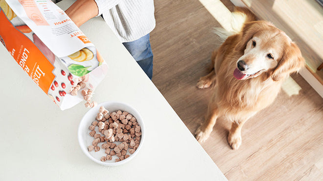 Q&A with Instinct, Discussing HPP for Raw Pet Food Processing