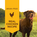 Original Wet Food Real Chicken Recipe
