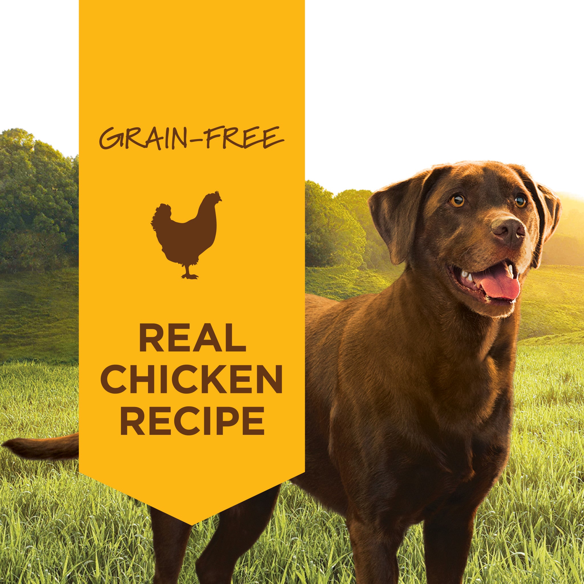 Original Wet Food Real Chicken Recipe