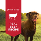 Original Wet Food Real Beef Recipe