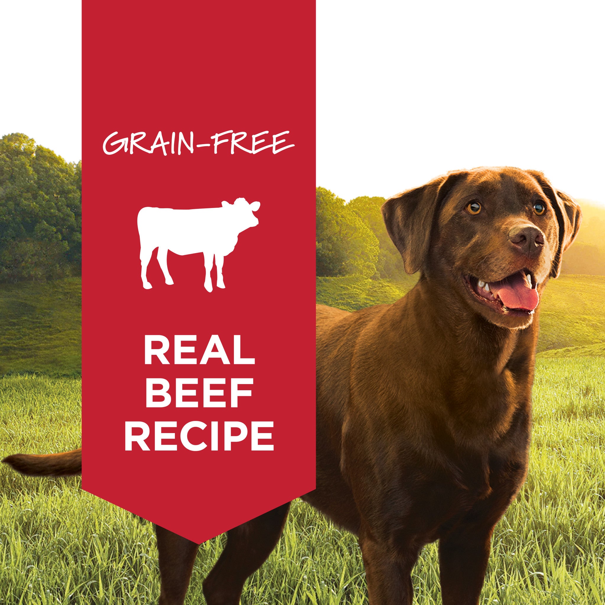 Original Wet Food Real Beef Recipe