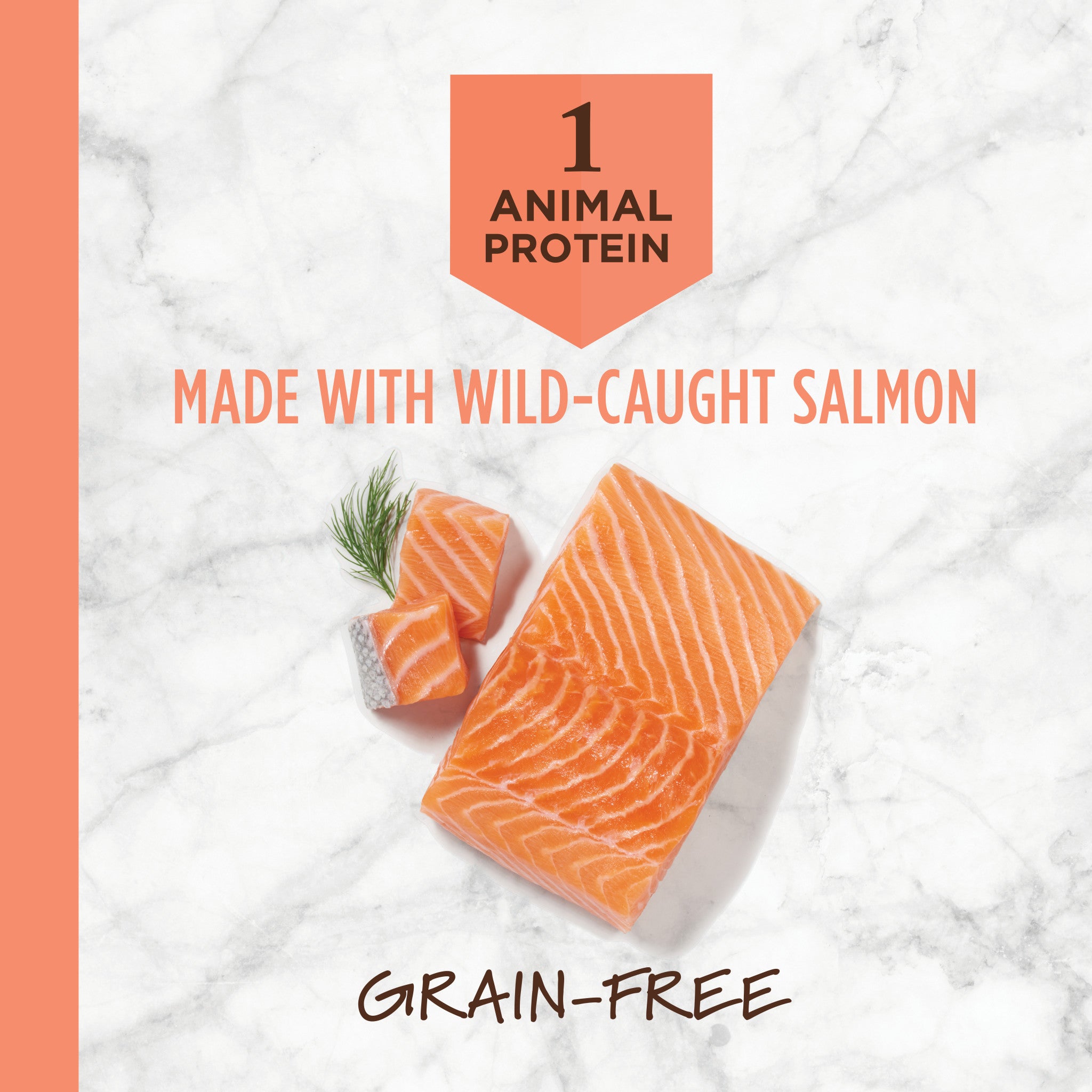 Limited Ingredient Diet Kibble Real Salmon Recipe