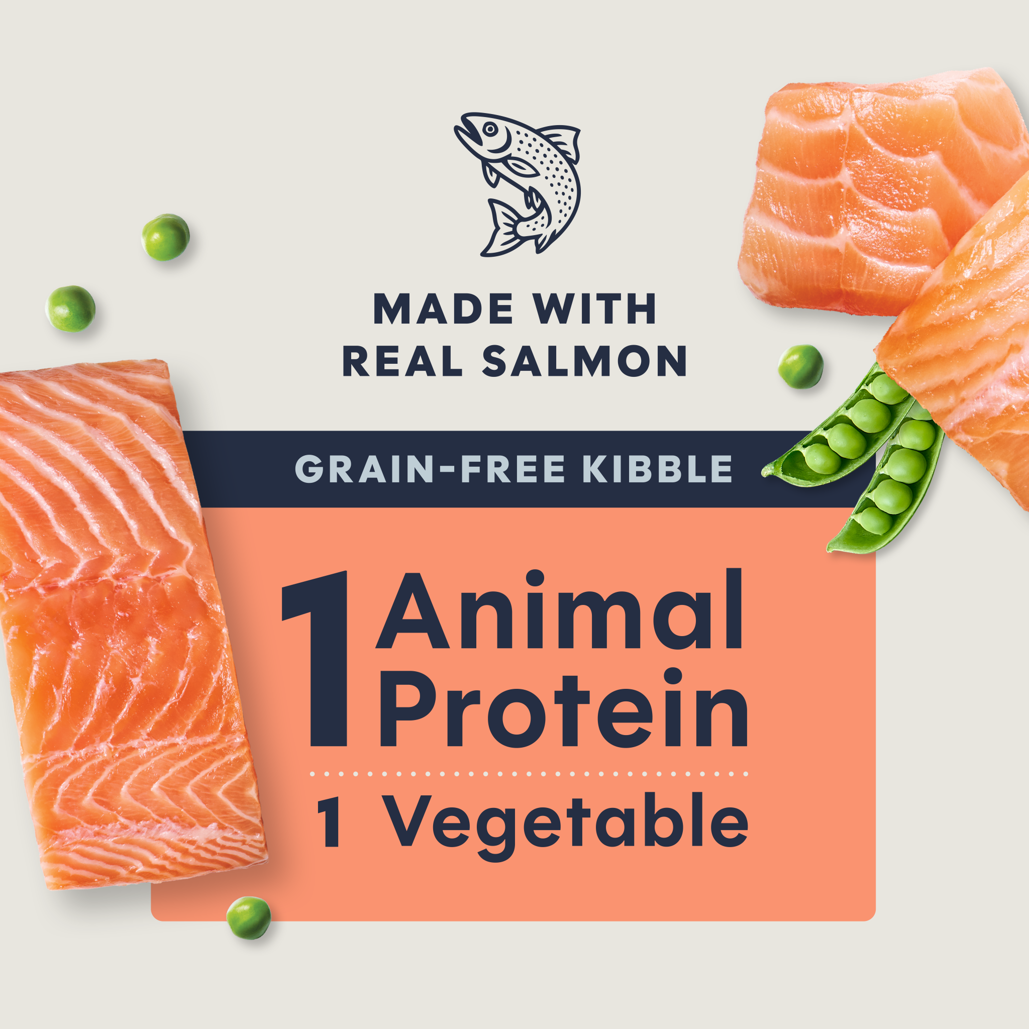 Limited Ingredient Diet Kibble Real Salmon Recipe