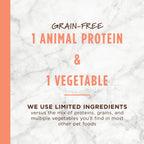 Limited Ingredient Diet Kibble Real Salmon Recipe