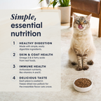 Limited Ingredient Diet Kibble Real Salmon Recipe