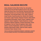 Raw Boost Kibble Real Salmon Recipe