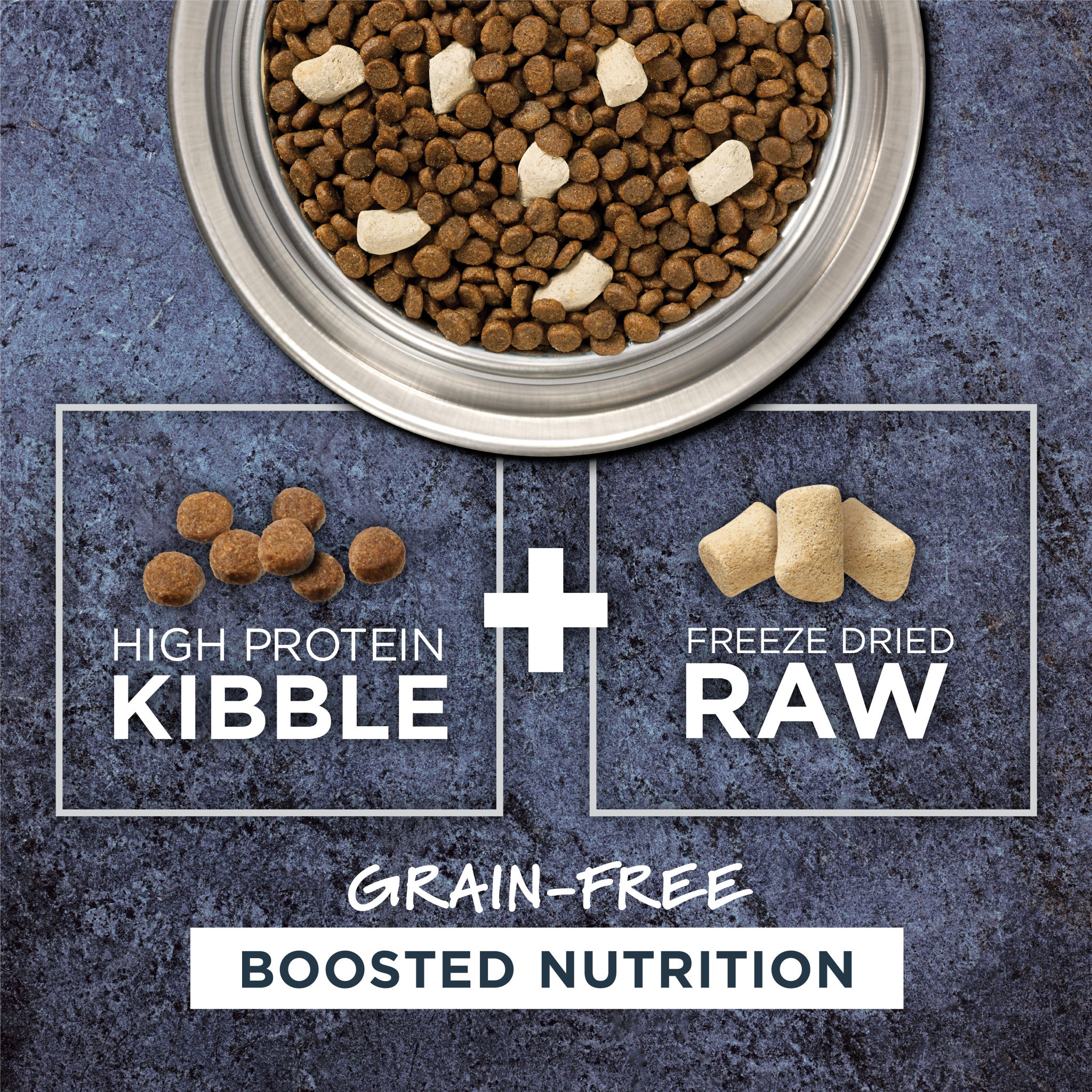 Raw Boost Kibble Real Salmon Recipe