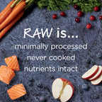 Raw Boost Kibble Real Salmon Recipe