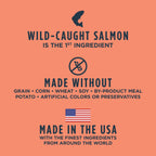 Raw Boost Kibble Real Salmon Recipe
