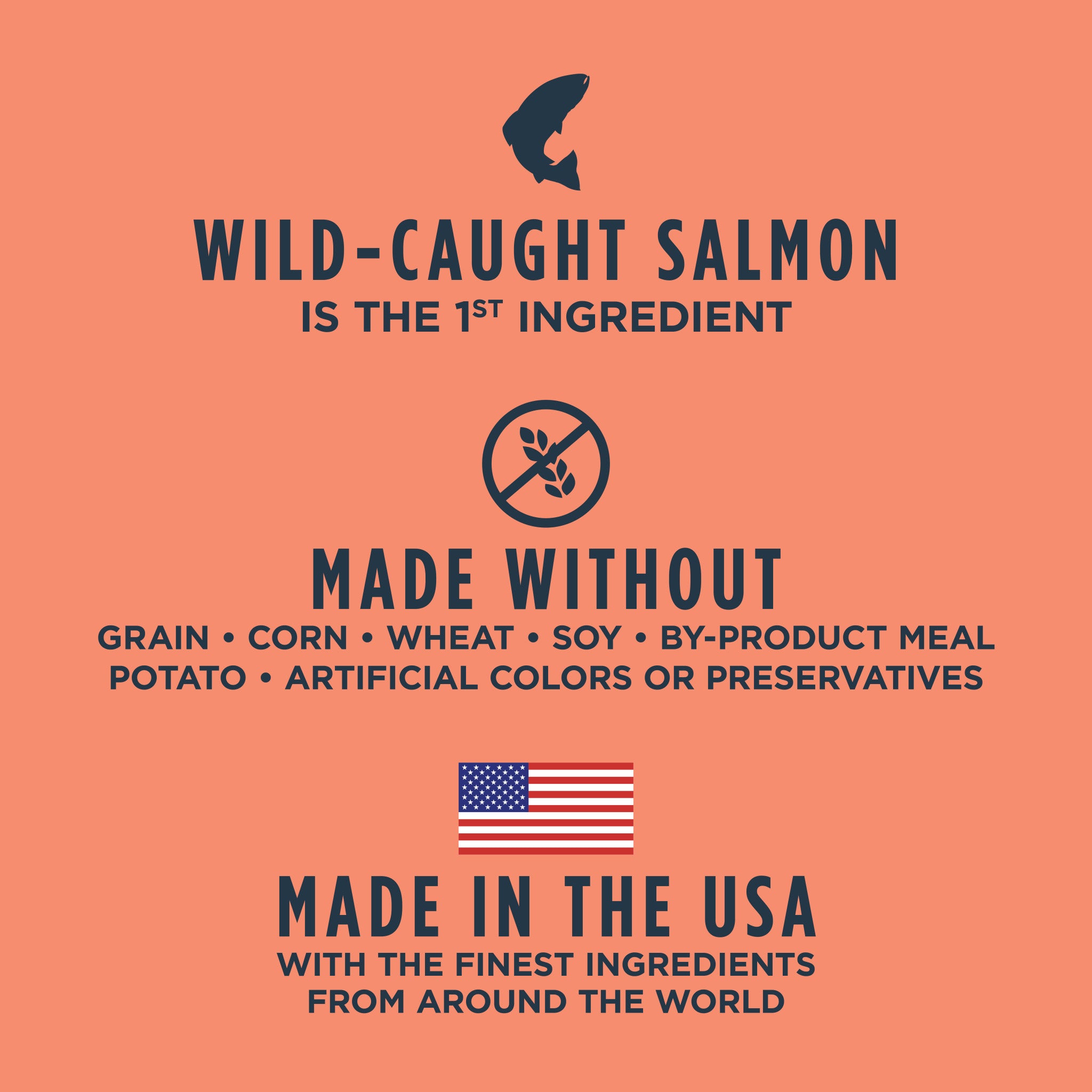 Raw Boost Kibble Real Salmon Recipe