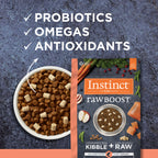 Raw Boost Kibble Real Salmon Recipe