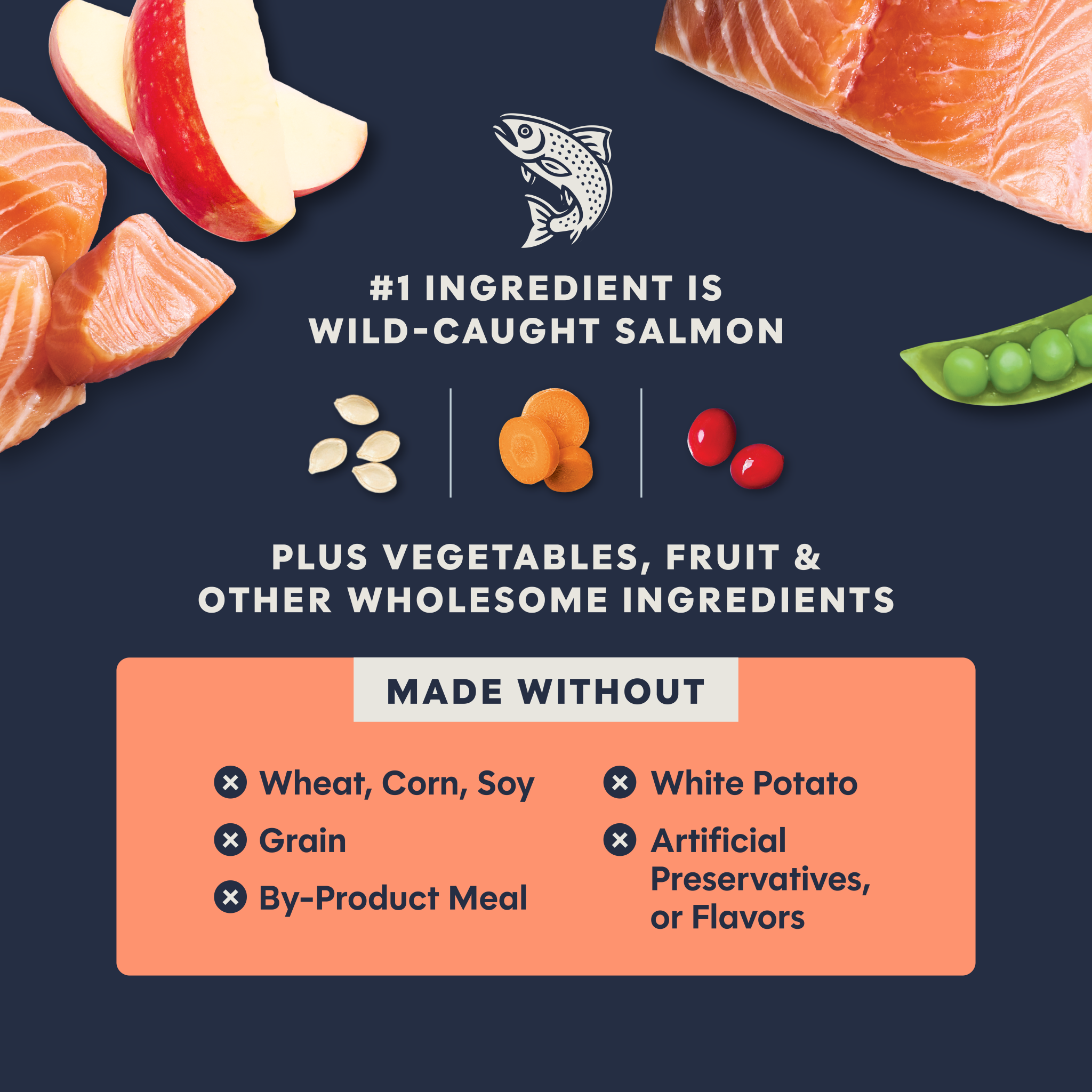 Raw Boost Kibble Real Salmon Recipe