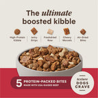 PeakBoost+ Kibble Real Beef Recipe