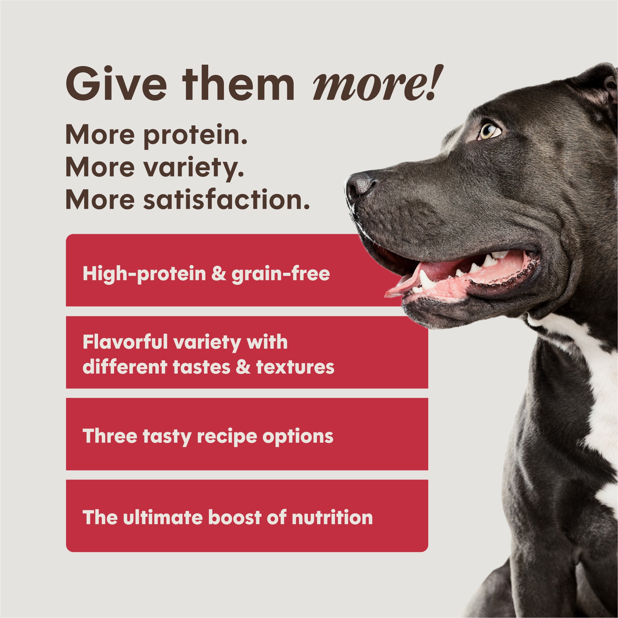 PeakBoost+ Kibble Real Beef Recipe