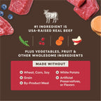 PeakBoost+ Kibble Real Beef Recipe