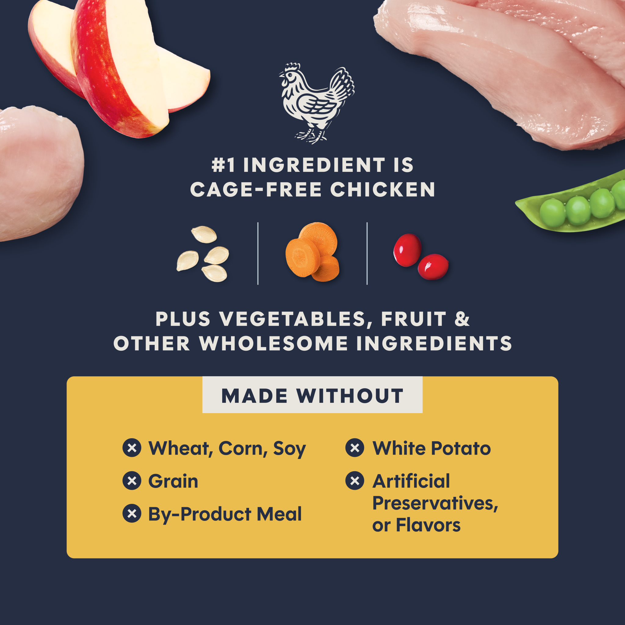 Raw Boost Kibble Real Chicken Recipe