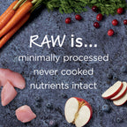 Raw Boost Kibble Indoor Health Recipe with Real Rabbit