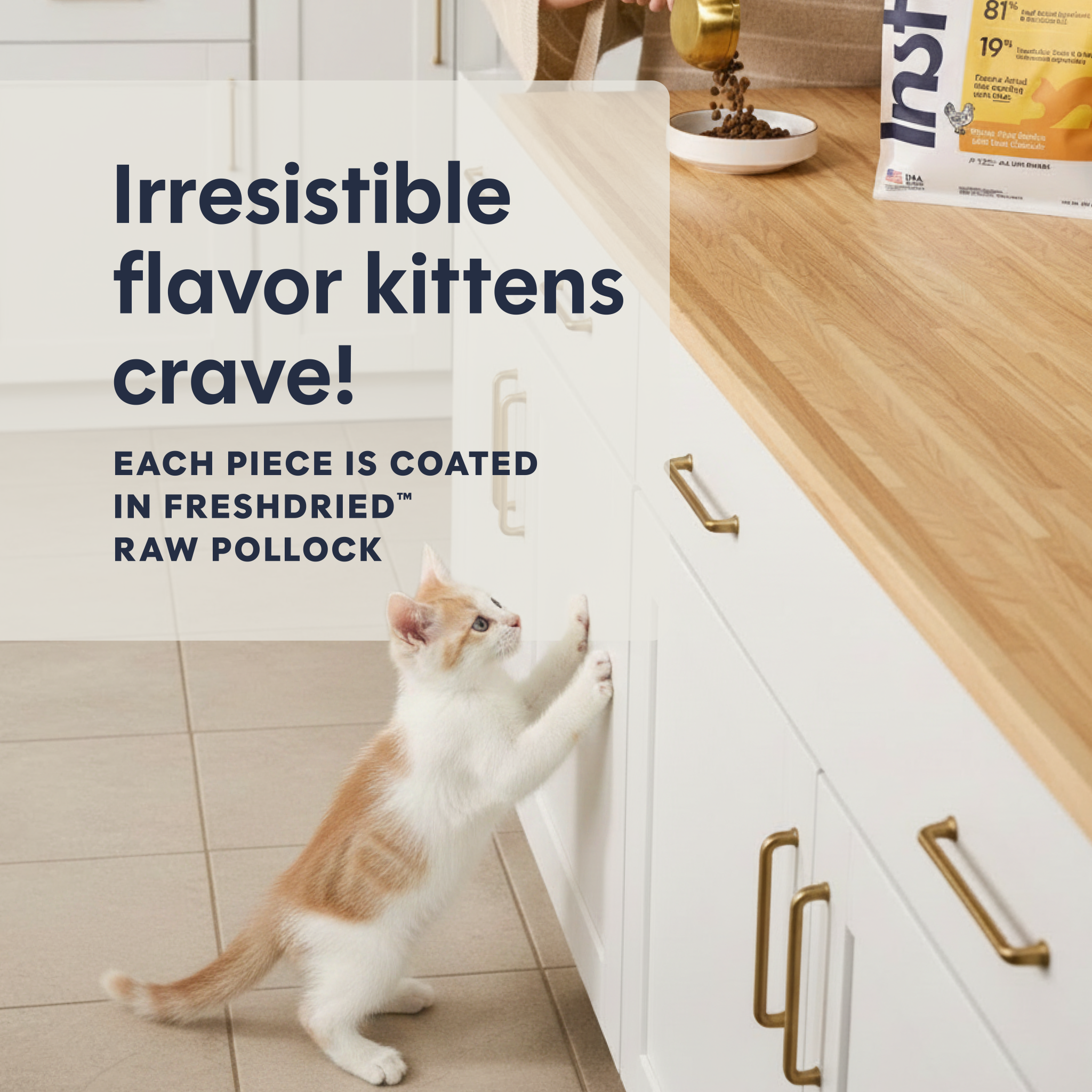 Original Kibble for Kittens Chicken Recipe