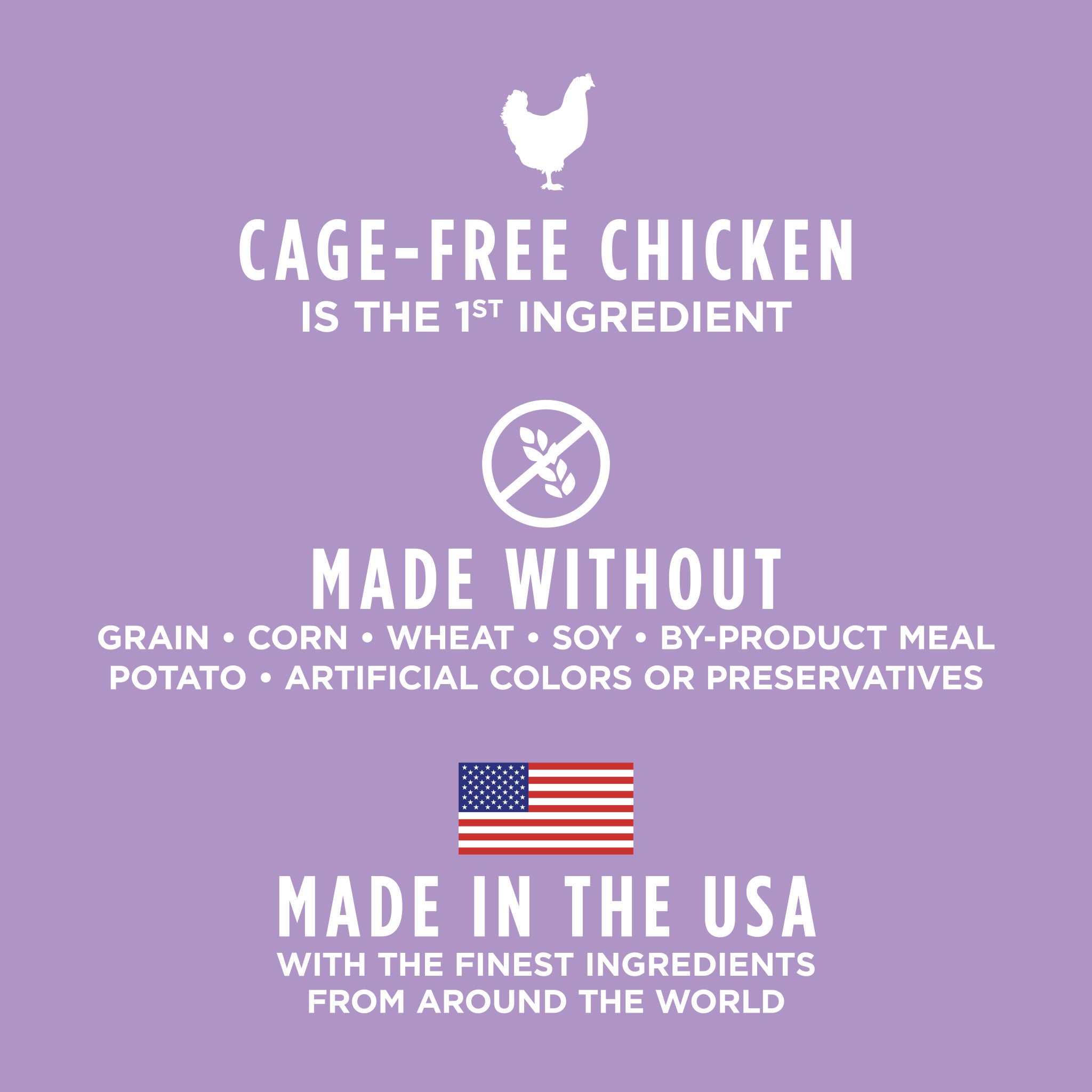 Original Kibble for Kittens Chicken Recipe