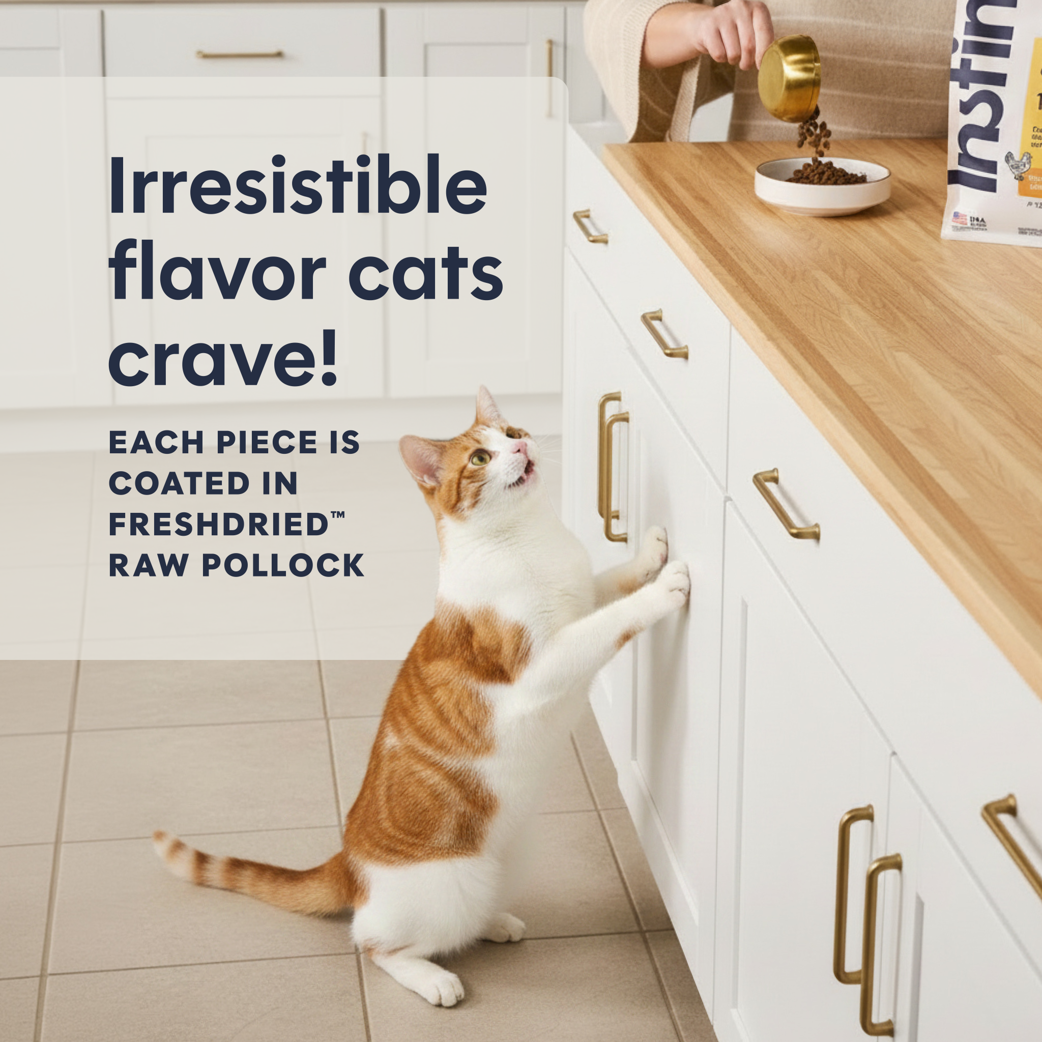 Original Kibble Real Salmon Recipe