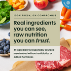FreshRaw Meals Recipe Sampler