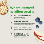 BeNatural Kibble Real Salmon & Brown Rice Recipe