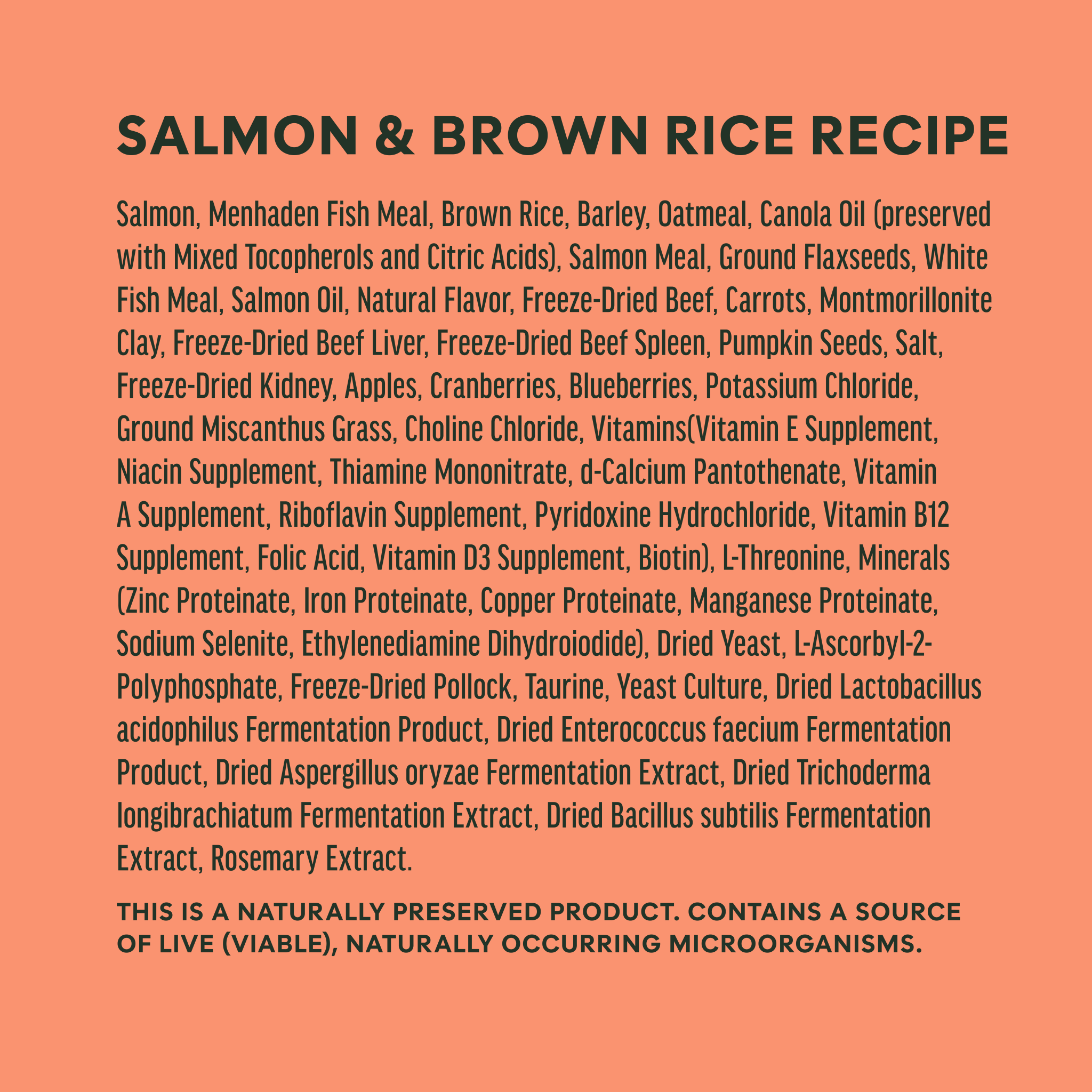 RawBoost+ Whole Grain Kibble Real Salmon & Brown Rice Recipe