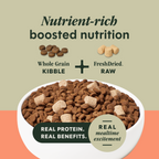 RawBoost+ Whole Grain Kibble Real Salmon & Brown Rice Recipe