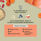 RawBoost+ Whole Grain Kibble Real Salmon & Brown Rice Recipe