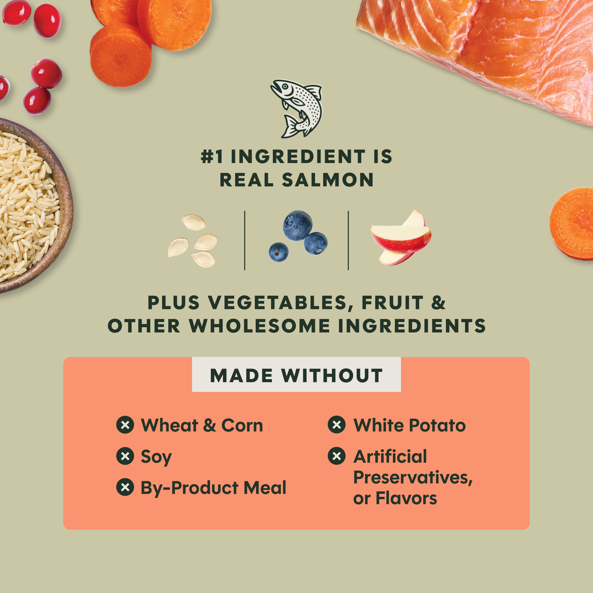 RawBoost+ Whole Grain Kibble Real Salmon & Brown Rice Recipe