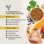BeNatural Kibble Real Chicken & Brown Rice Recipe