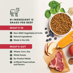 BeNatural Kibble Real Beef & Barley Recipe