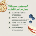 BeNatural Kibble Real Lamb & Oatmeal Recipe
