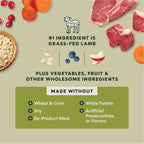 RawBoost+ Whole Grain Kibble Real Lamb & Oatmeal Recipe