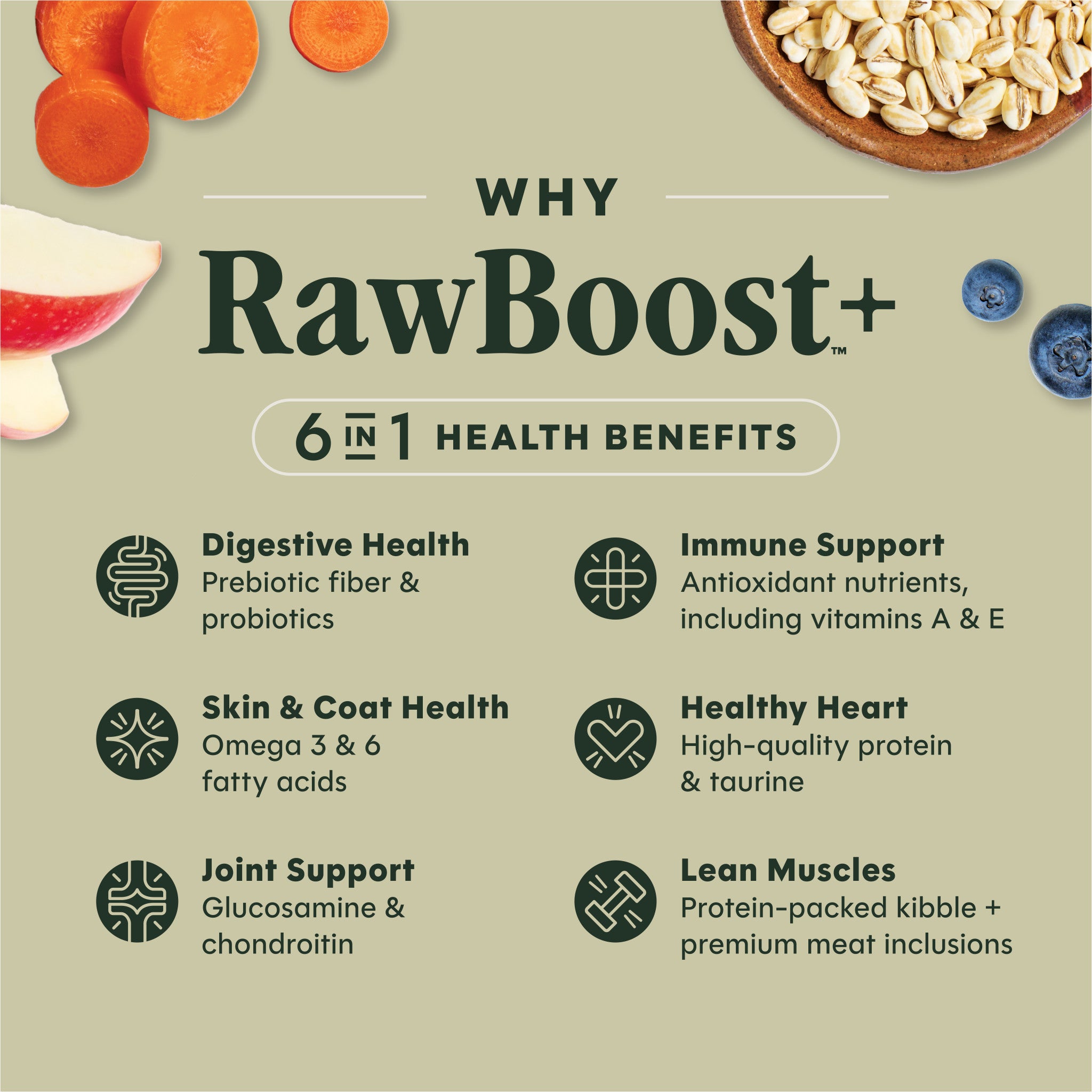 RawBoost+ Whole Grain Kibble Real Beef & Barley Recipe