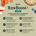 RawBoost+ Whole Grain Kibble for Puppies Chicken Recipe