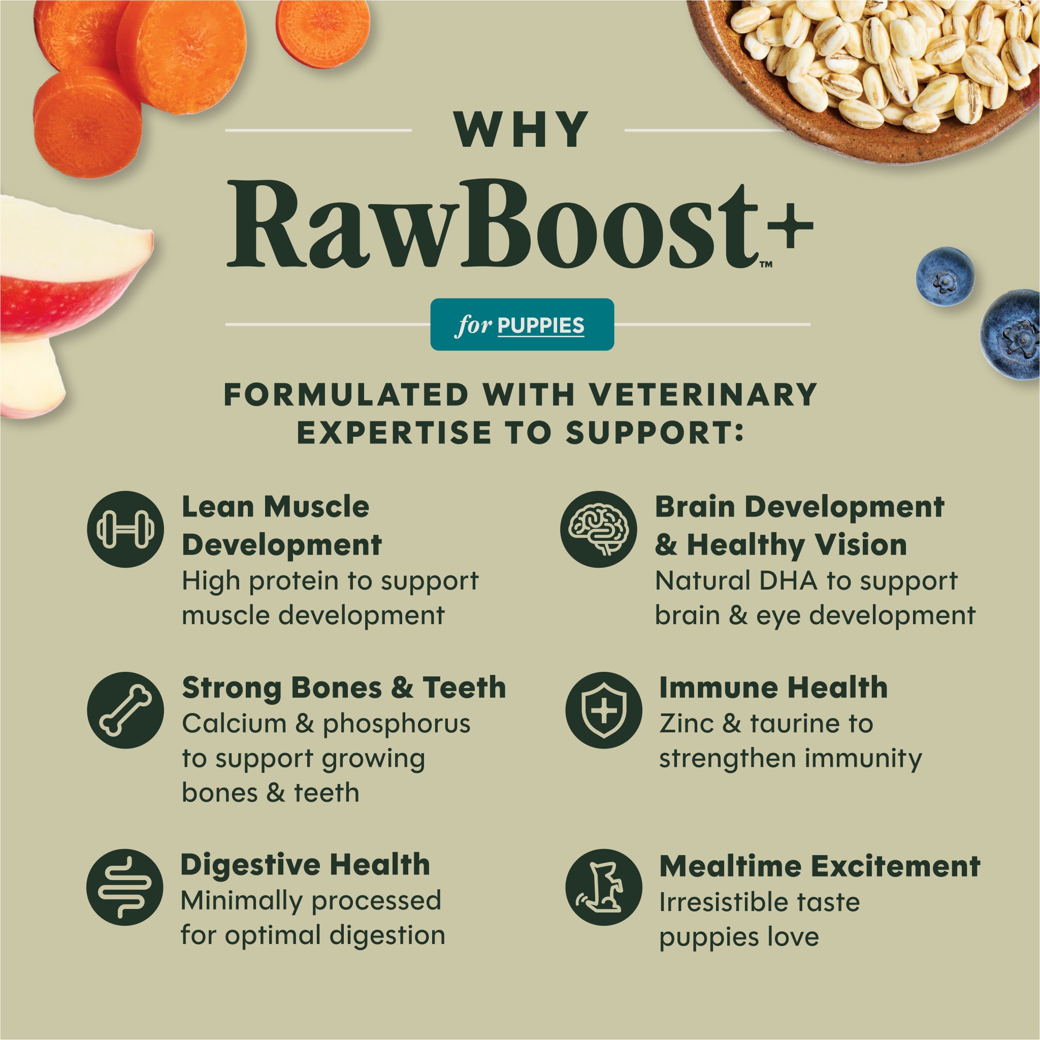 RawBoost+ Whole Grain Kibble for Puppies Chicken Recipe
