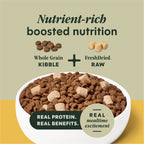 RawBoost+ Whole Grain Kibble for Puppies Chicken Recipe