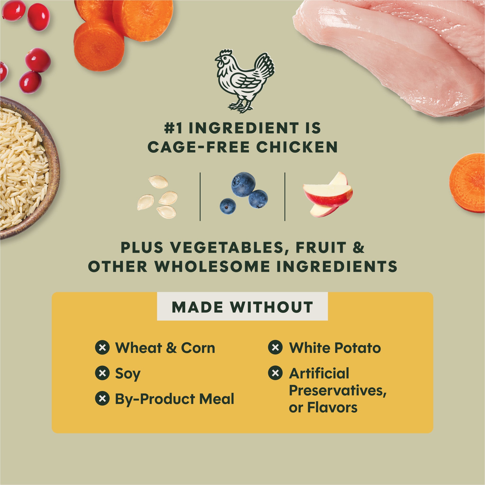 RawBoost+ Whole Grain Kibble for Puppies Chicken Recipe