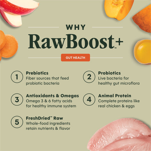 RawBoost+ Whole Grain Kibble Gut Health Recipe