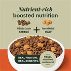 RawBoost+ Whole Grain Kibble Gut Health Recipe