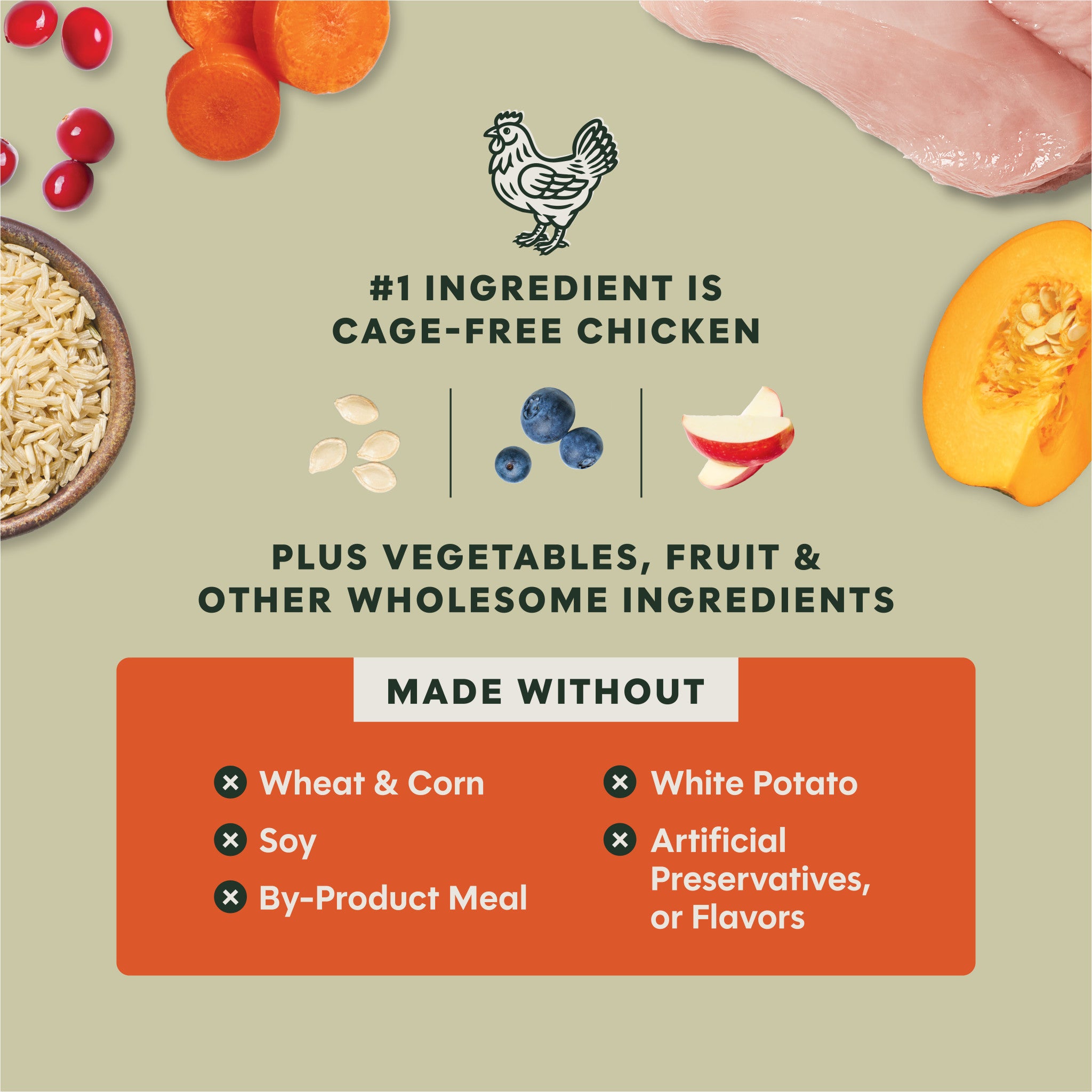 RawBoost+ Whole Grain Kibble Gut Health Recipe