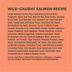 RawBoost+ Kibble Real Salmon Recipe